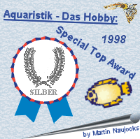 Award 3